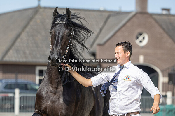 4. Premiekeuring van twentermerries