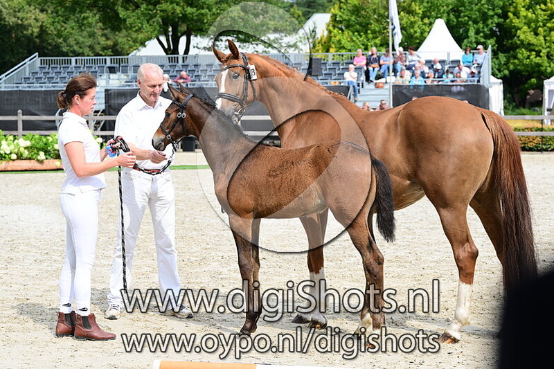 Una Donna Virginia - 128