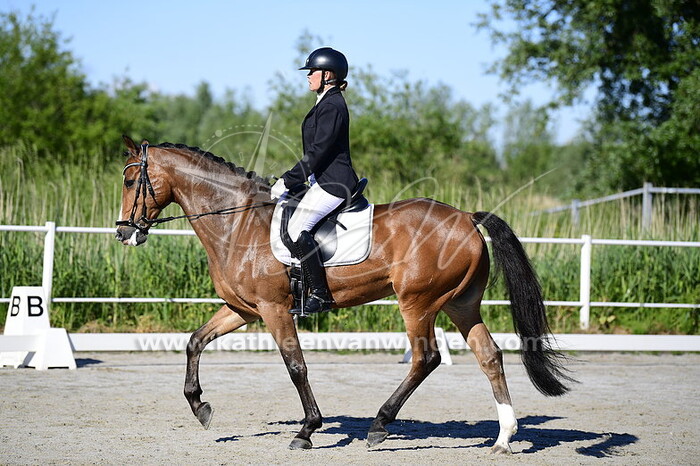 Sandra Noorman - van Driel