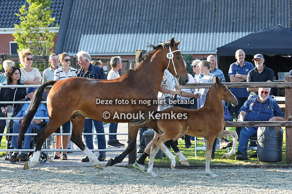 83 - Veerle Wandra ( Olympus HS x Atleet )