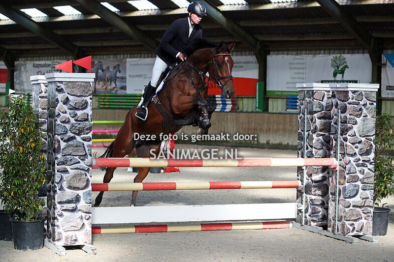 Stal Groenendaal 15-10-2024 Springen Paarden 100 cm