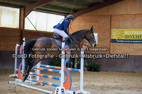 Indoor SGW Springen Paarden B 29-12-23