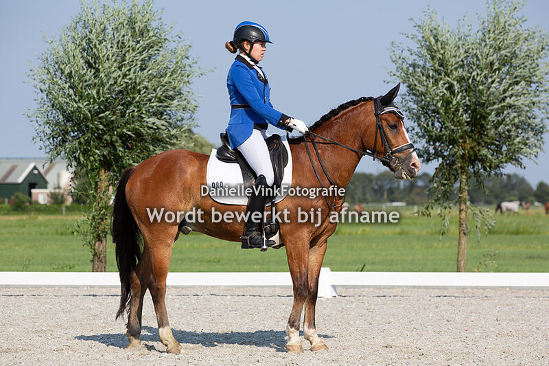 Eleanor van der Horst - Star'in Moonlight