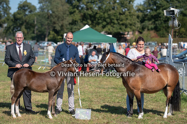 Nationale show Welsh Belgium