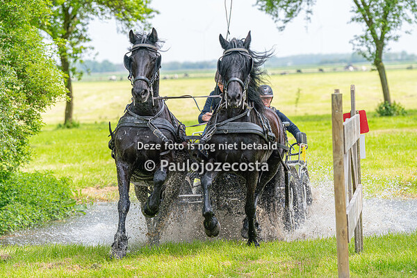 Marathon Mennen Bucephalus 09-05-2024