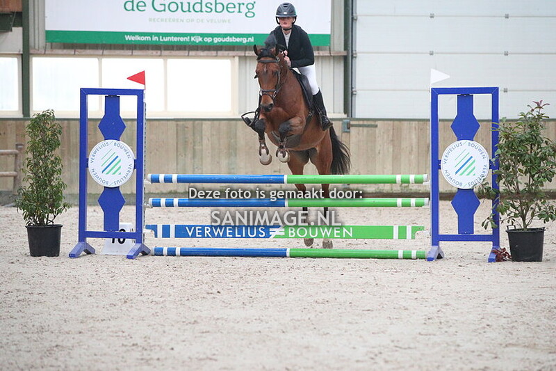 Stal Groenendaal Springen Paarden 10-11-2024 80/90 cm