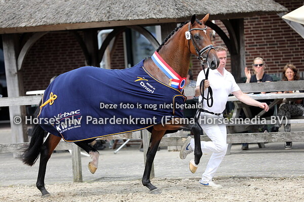 09-07-2024 CK Overijssel KWPN