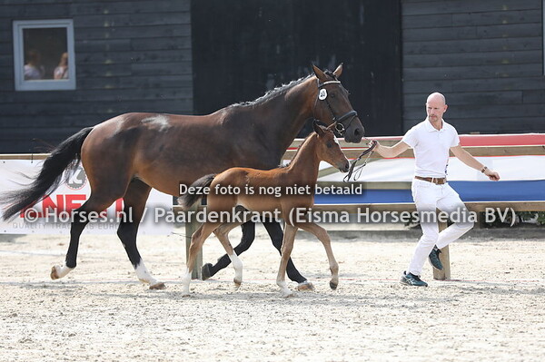 40 Sabeaustar Emyrtan