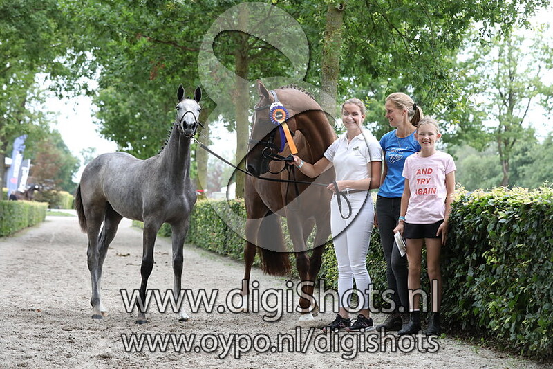 022 Rubycara van Seldsum VDL v. Zirocco Blue VDL