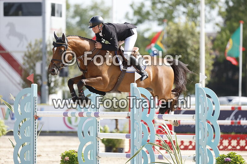 dennis van den brink