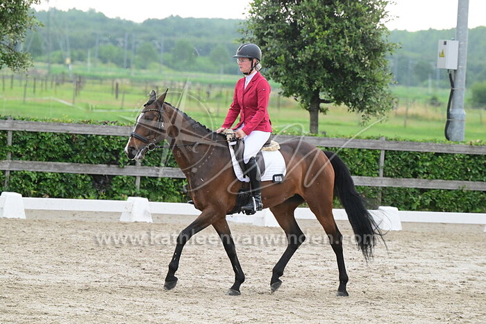 Benthe Boogaard - Merlot Noir JCS