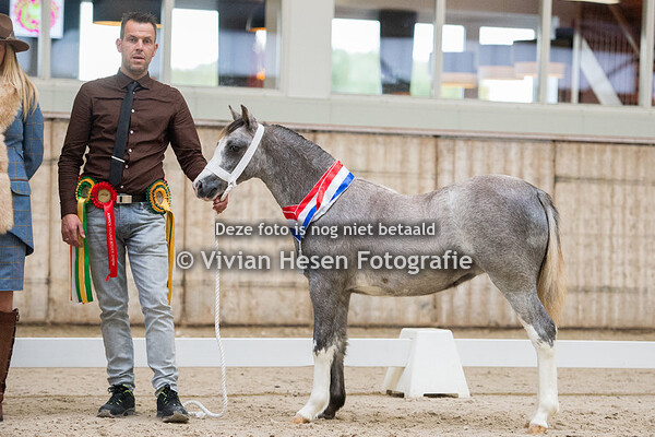 Youngstockshow Utrecht