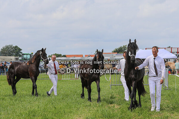 Rubriek 3 entermerries