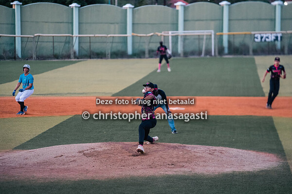 Baseball in Paradise day 2 8/10/2024