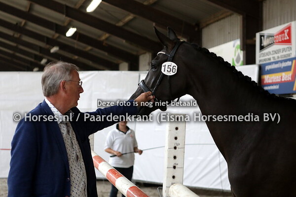 156 Lorenda (Gunner x Norenda v. Inspecteur)