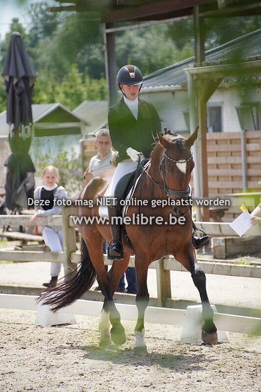 Prijsuitreiking middag