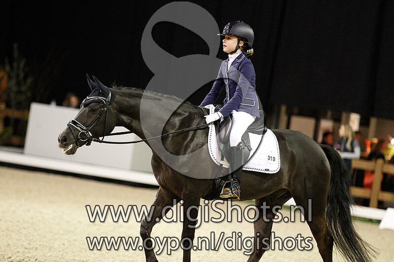 King Stayerhof's Jango