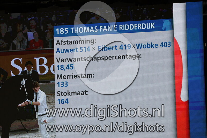 Thomas fan 'e Ridderdijk