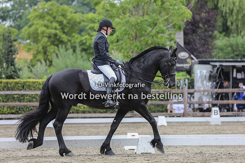 Heleen Pruntel - Tjitte V fan de Miedwei