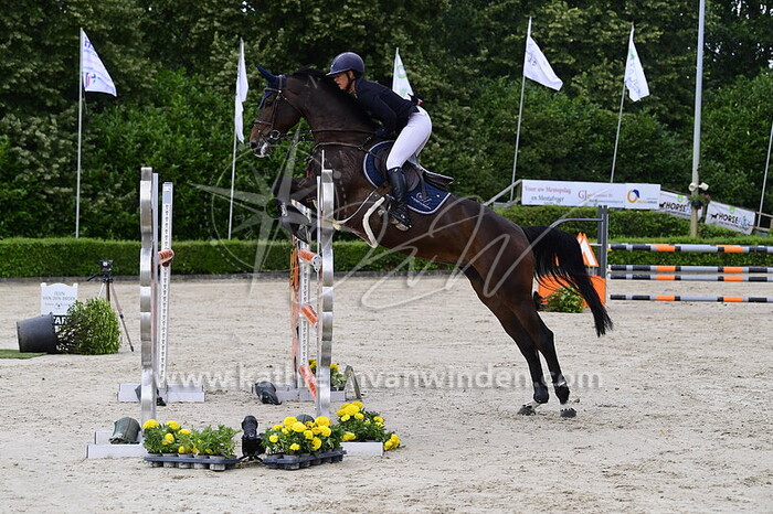 Ellen Zwijnenberg - NN