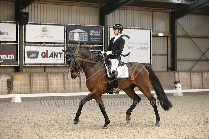 Danielle Houvast - Legacy Rose