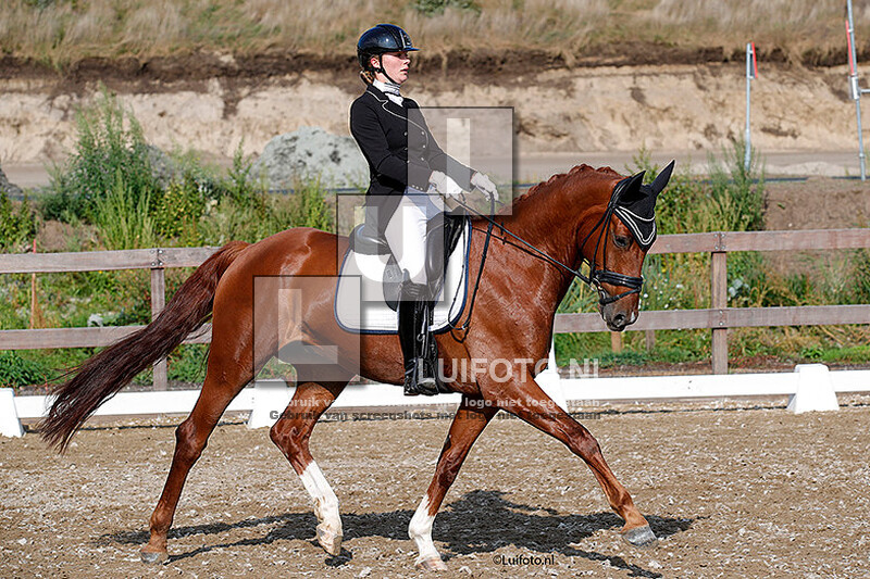 19-9 Dressuur RVSPA