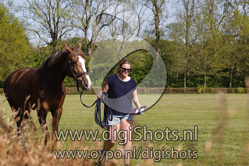 Panama van t Roosakker