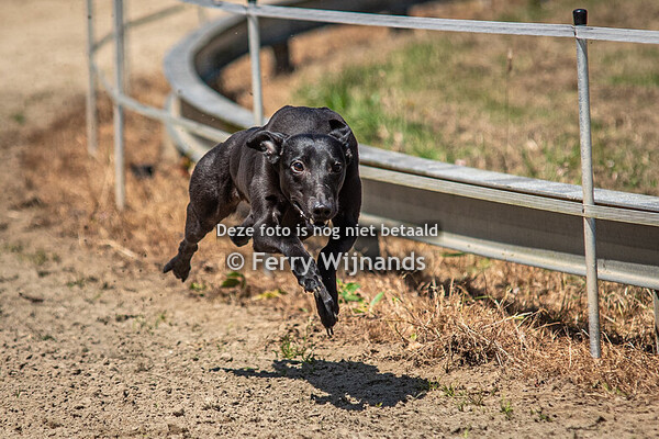 Training WRA 23-6-2024