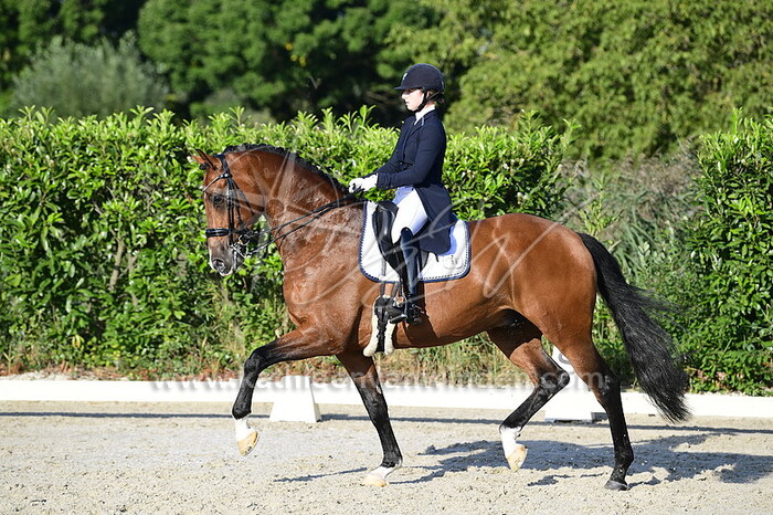 Mercedes Verweij - Lyndon B Johnson SV