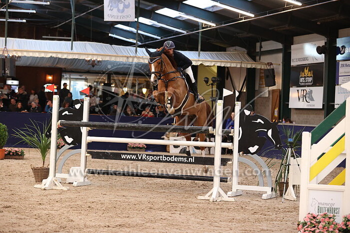 Ellen Zwijnenberg - Locomotion