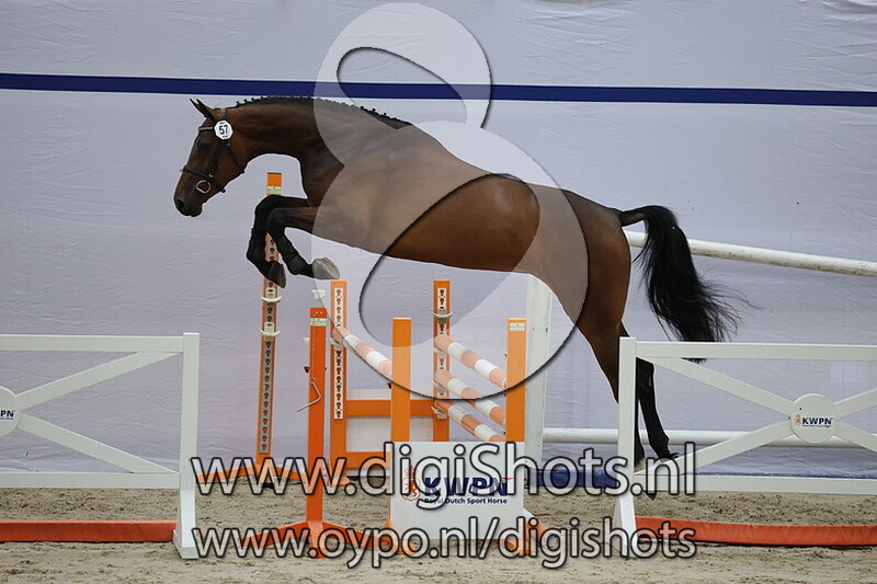 Sachery VDL v. Balou du Reventon