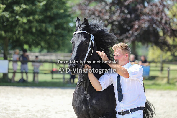 Rubriek 9 premiekeuring van 7 jaar en ouder