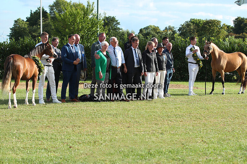 NWPCS Centrale Keuring Houten 23-08-2025 Hoofdring middagprogramma