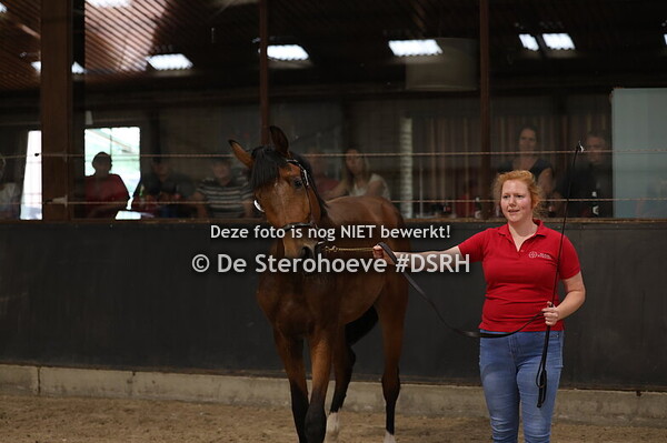 15. Vrijspringen Tweejarigen