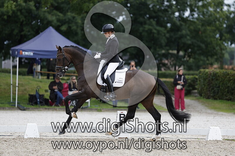 Rockstar millionaire