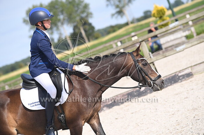 Klasse M pony's cat. DE