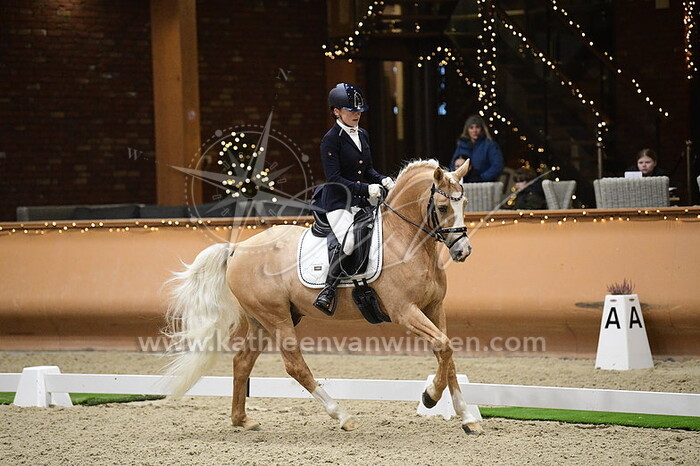 Feline Niessen - Diamond Blue