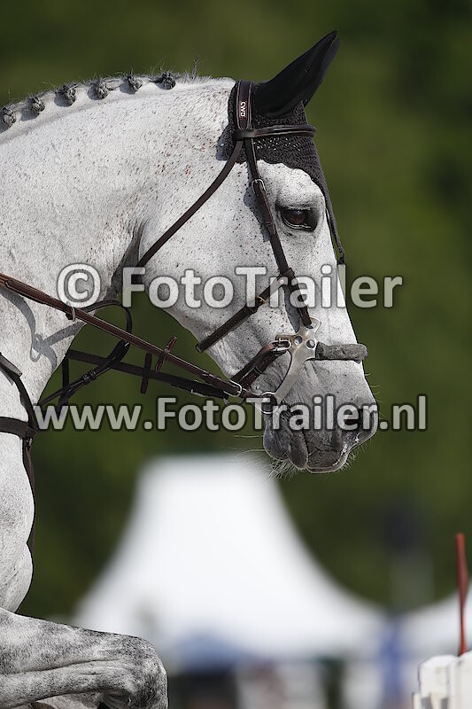 Annelies Vorsselmans