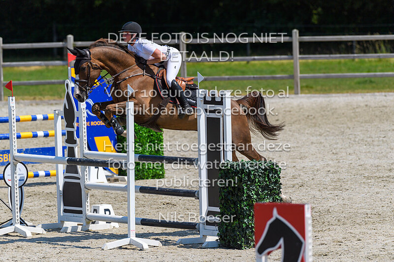 5 Klasse Paarden 110cm