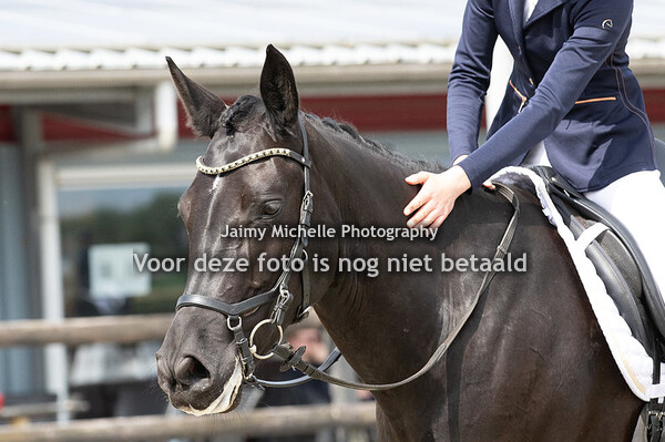 397 Manouk Wischmeijer