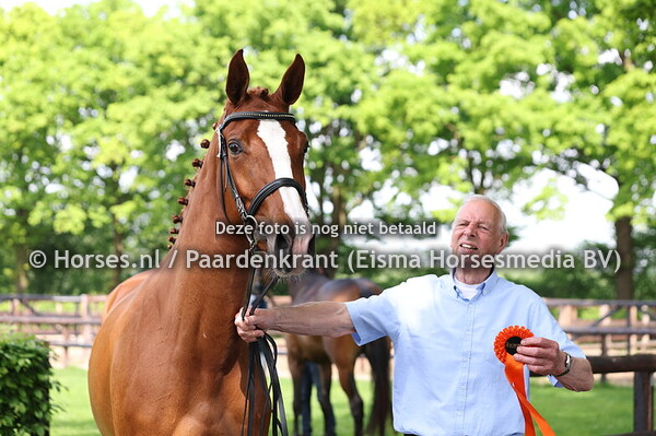 15 Sity-Sinaa (Darwin Z x Mistral Sinaa V. Quidam de R)