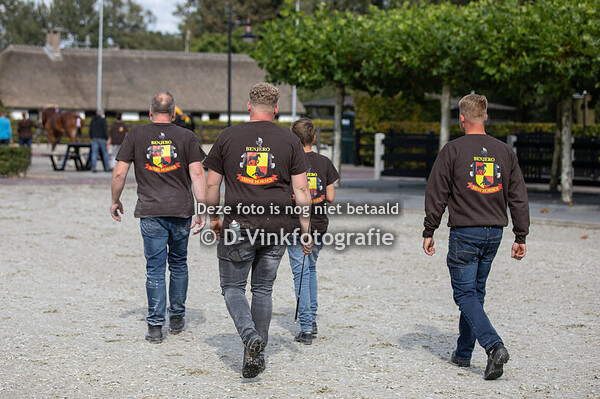 11. 2- jarige merries