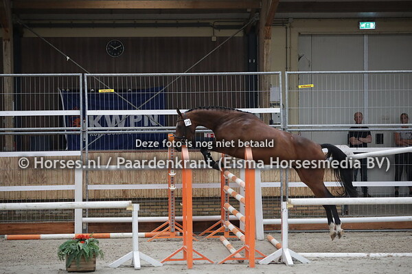 273 Maraschino (Hernandez x O-Ditsy v. Karlstad)