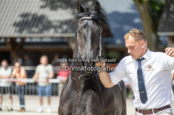 100. Tess van de Herenbrink