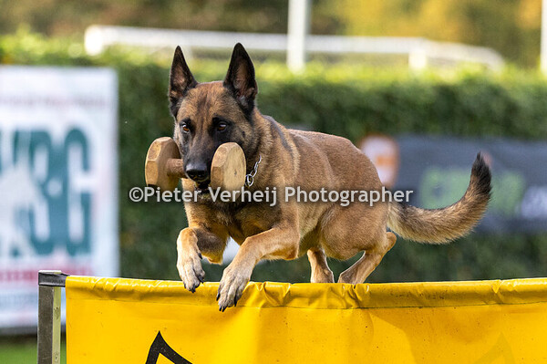 NBG NVK&NIK 2024 Harderwijk