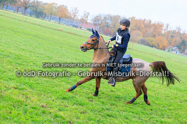 Eventing Rekken paard B pony L en oefen