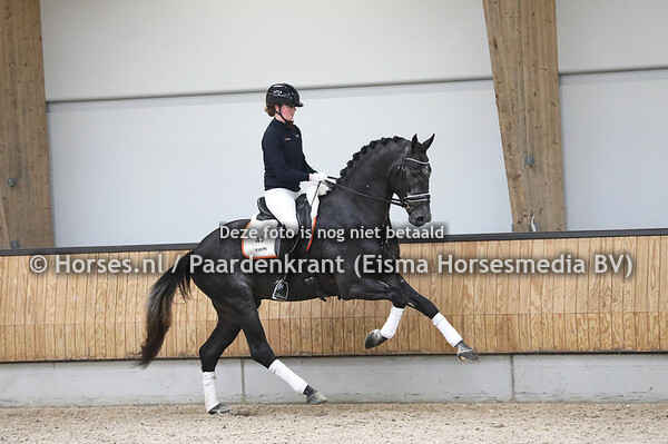 13-04-2023 KWPN VO voorjaar dressuur Standfoto en actiedag