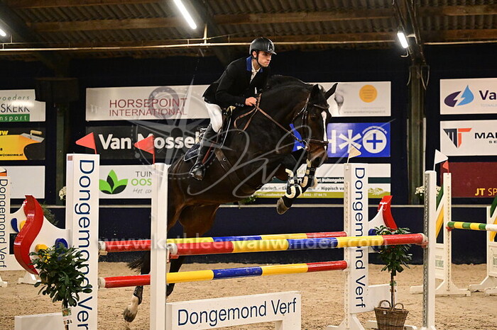 Jurrien Steerenberg - Diamant d'Elle Z