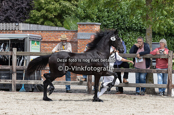 66. Anneliz van het Binnenveld