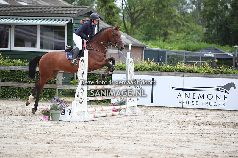 Zilfia's Hoeve Springen Paarden 05-07-2024 80/90 cm